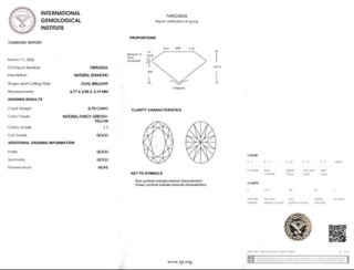 Diamante Natural 0.70 ct. Certificado.
