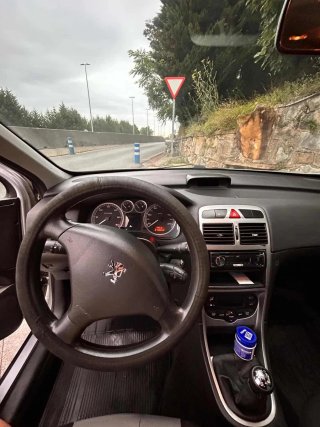 Peugeot 307 2002