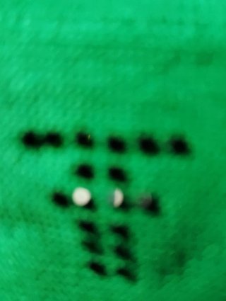 Camiseta Fracomina verde