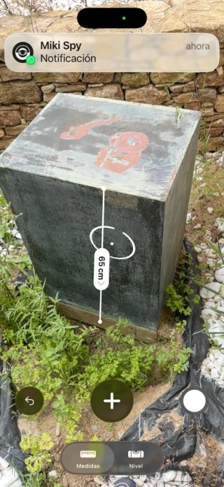 Escultura de lujo artista Rosa Serra