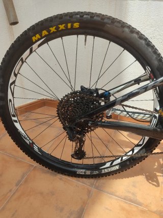 Bicicleta Specialized Doble Carbono