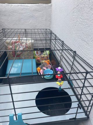Jaula para roedores con accesorios