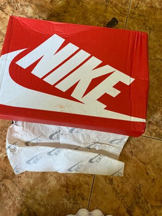 Nike Shox TL Plata y Blanco