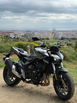 Honda Hornet 1000 Naked Negra/Gris