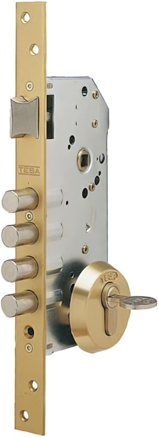 Tesa Assa Abloy R100B566C cerradura seguridad