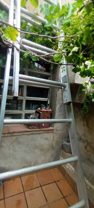 Escalera de aluminio alargable 2 tramos