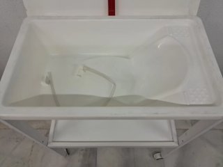 BAÑERA CAMBIADOR, bebé, mascotas ESTANTERÍA, CARRO