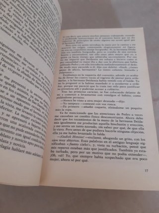 HALCÓN, de Garuy Hennings.