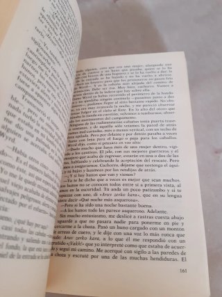 HALCÓN, de Garuy Hennings.
