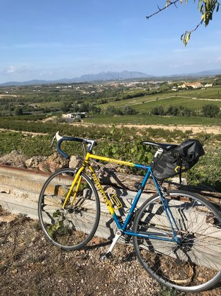Bicicleta Carretera Peugeot Richard Virenque