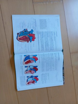 Biología y geología, 3 ESO, Operación mundo