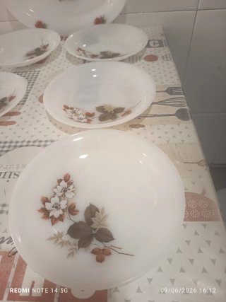Juego Platos Arcopal Flores