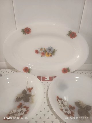 Juego Platos Arcopal Flores