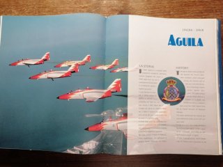 Pattuglie acrobatiche. Ediz. italiana e inglese