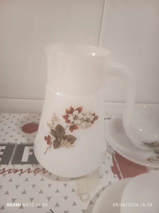 Juego de vajilla Arcopal floral