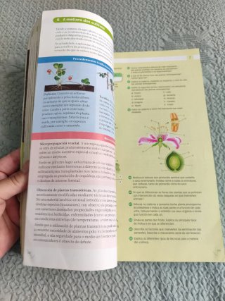 Bioloxía, Xeoloxía e Ciencias Ambientais, 1 Bac...