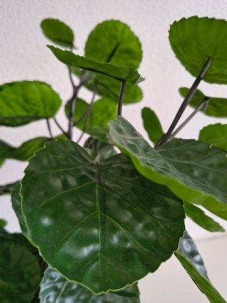 Planta Fejka Ikea
