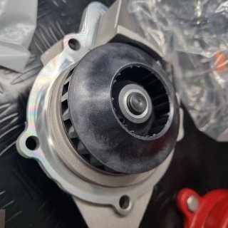 Kit distribución GATES KP15672XS PSA