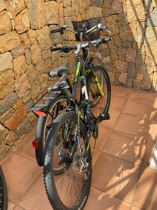 Bicicleta de montaña