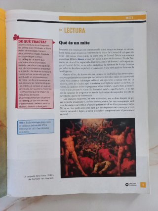 Llengua Catalana, 4 ESO, Programa Alba de Vic