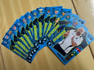 Lote Entrenadores Adrenalyn 24/25 Panini