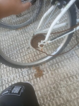 Bicicleta de montaña Rockrider 6.0
