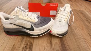 Nuove Scarpe da Ginnastica Nike Pegasus Premium