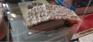 2 Plataformas Roca Agua Reptiles + imanes y Roca
