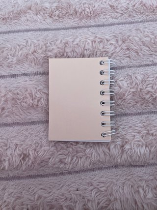 Estuche Capibara Peluche