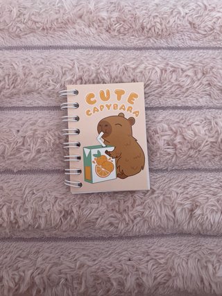 Estuche Capibara Peluche