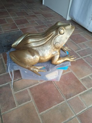Rana de Bronce Grande