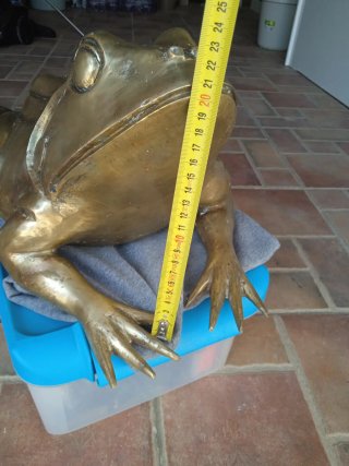 Rana de Bronce Grande