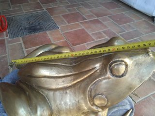 Rana de Bronce Grande