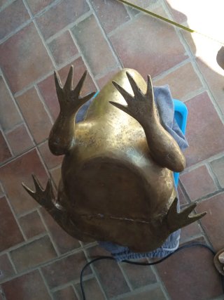 Rana de Bronce Grande