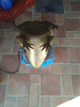 Rana de Bronce Grande