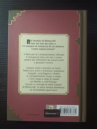 Lotto Libri Minecraft