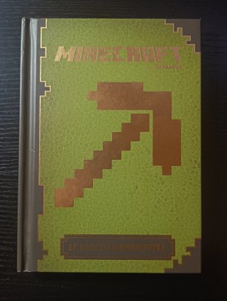 Lotto Libri Minecraft