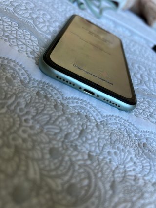 iPhone 11 Verde