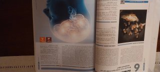 Historia de la filosofía, 2 Bachillerato