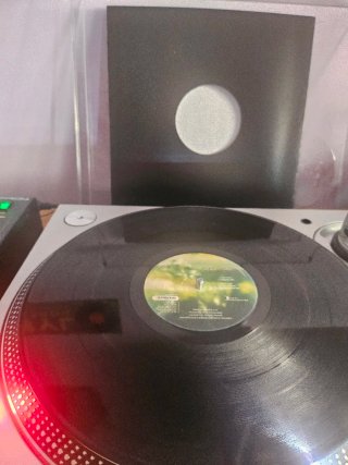 Jackie Rawe - I Believe In Dreams (Radical Records