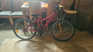Bicicleta infantil niña/niño