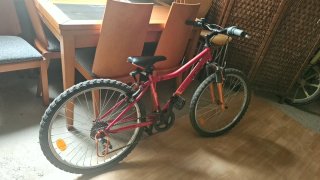 Bicicleta infantil niña/niño