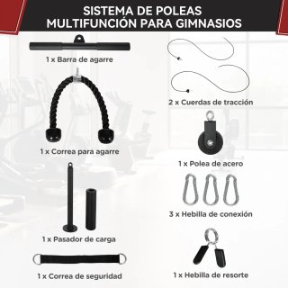 Sistema Polea Gimnasio con Peso