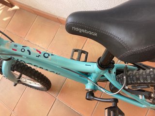 Bicicleta infantil Ridgeback