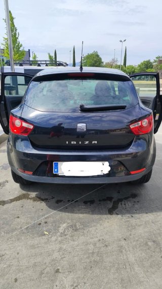SEAT Ibiza Copa 2011