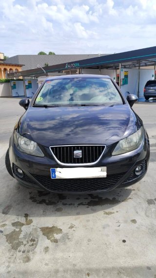 SEAT Ibiza Copa 2011
