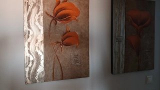 Set 2 Cuadros Decorativos Flores