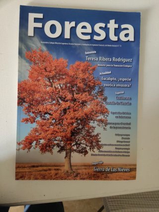 Revista Foresta n 72