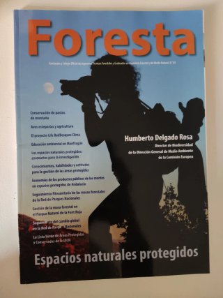 Revista Foresta n 85