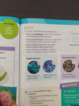 Natural and Social Science, 4 Primary, World Ma...